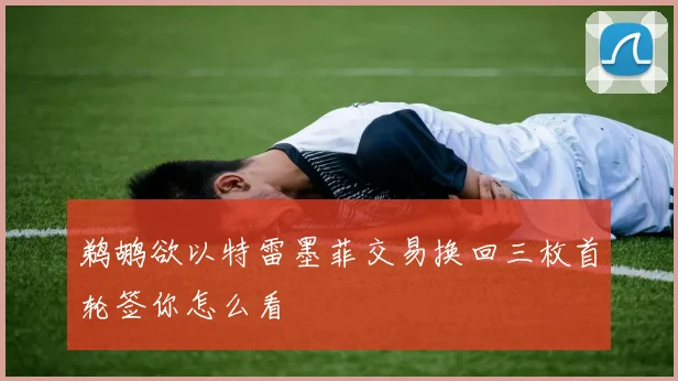 鹈鹕欲以特雷墨菲交易换回三枚首轮签你怎么看